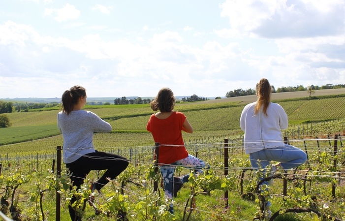 Team-building-Insolite-Reims-Yoga-dans-les vignes