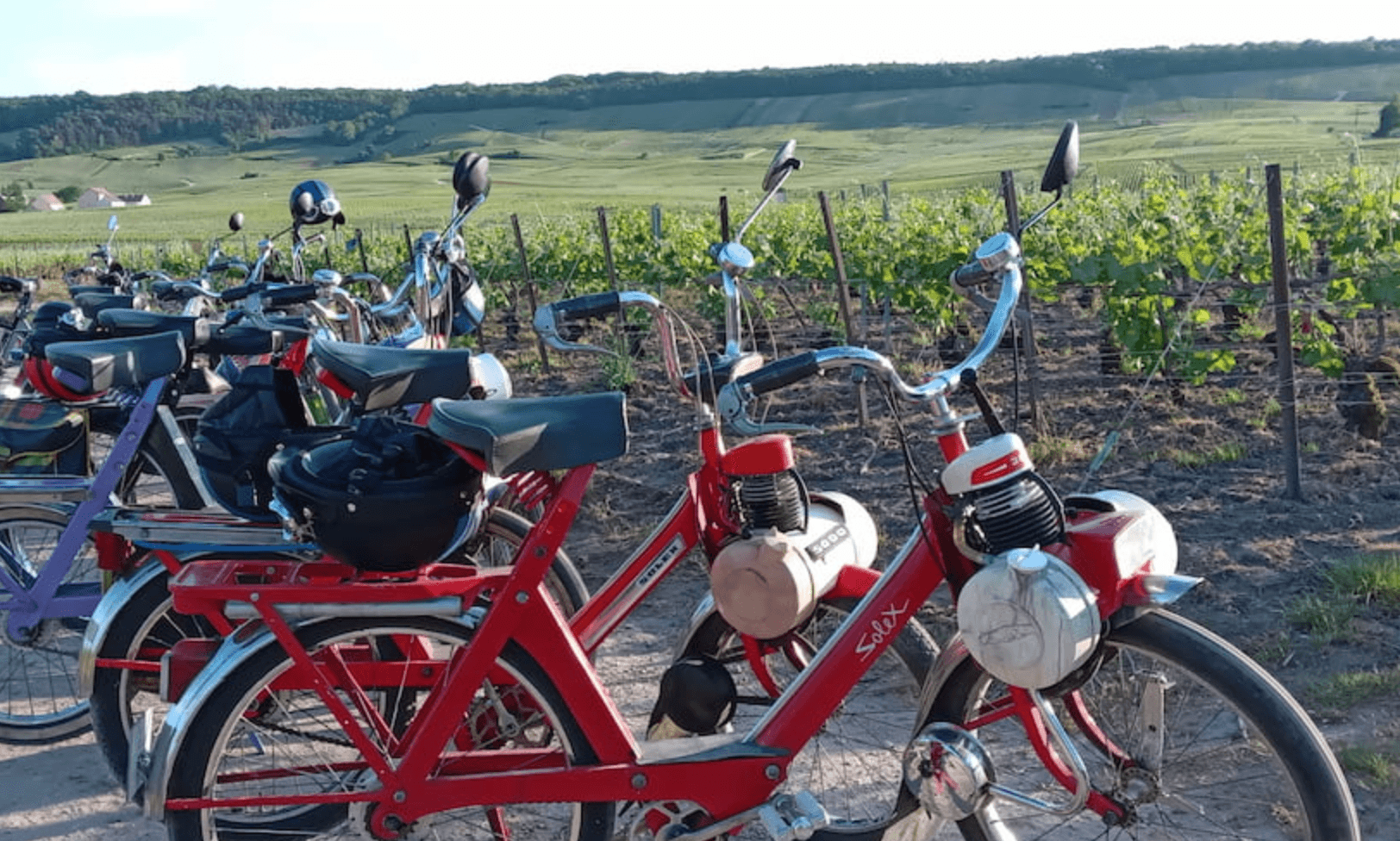 Teambuilding-insolite-reims-rallye-solex-dans-les-vignes