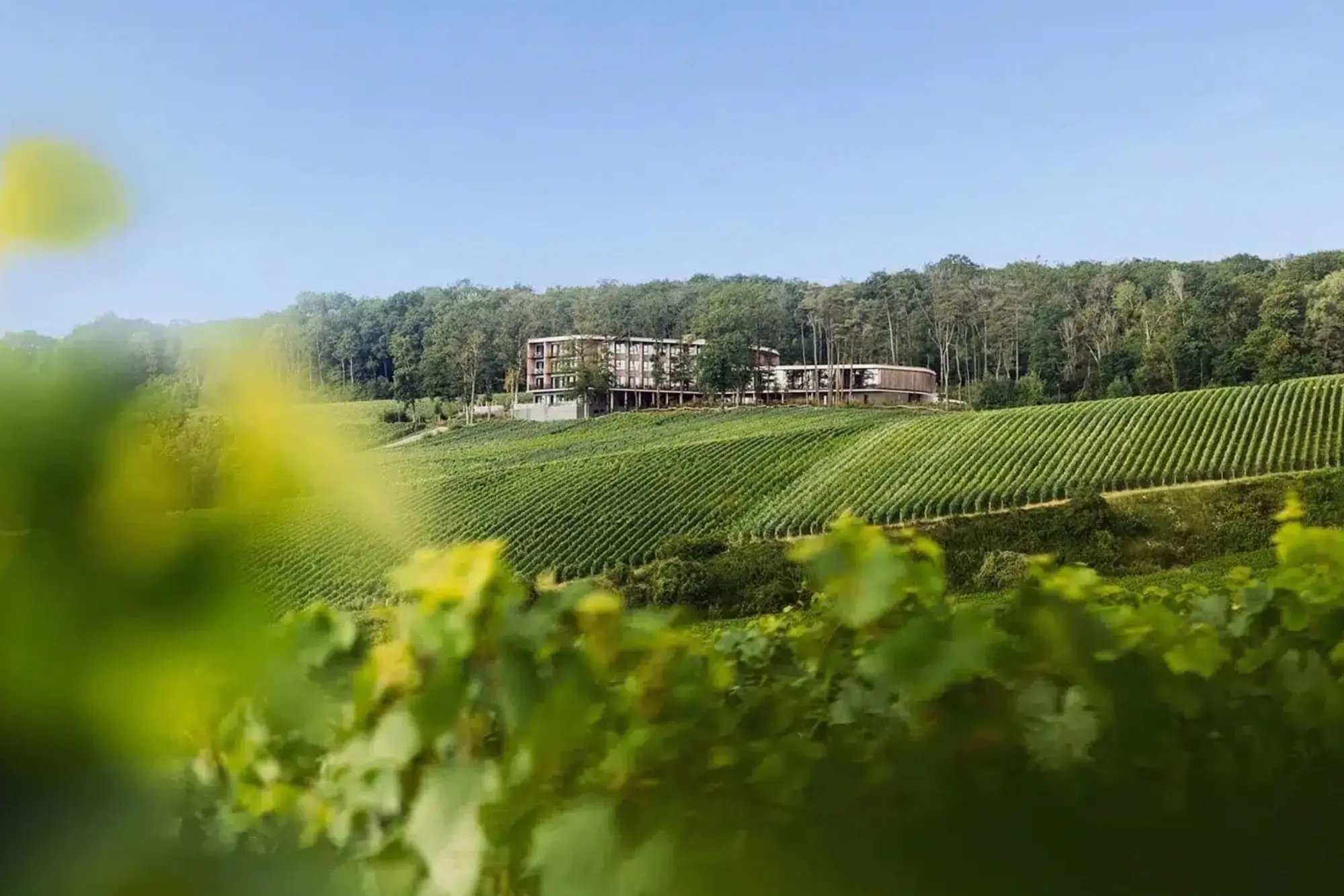 location-salle-reunion-reims-LOISIUM-Wine-Spa-Hotel-Champagne-1 (1)