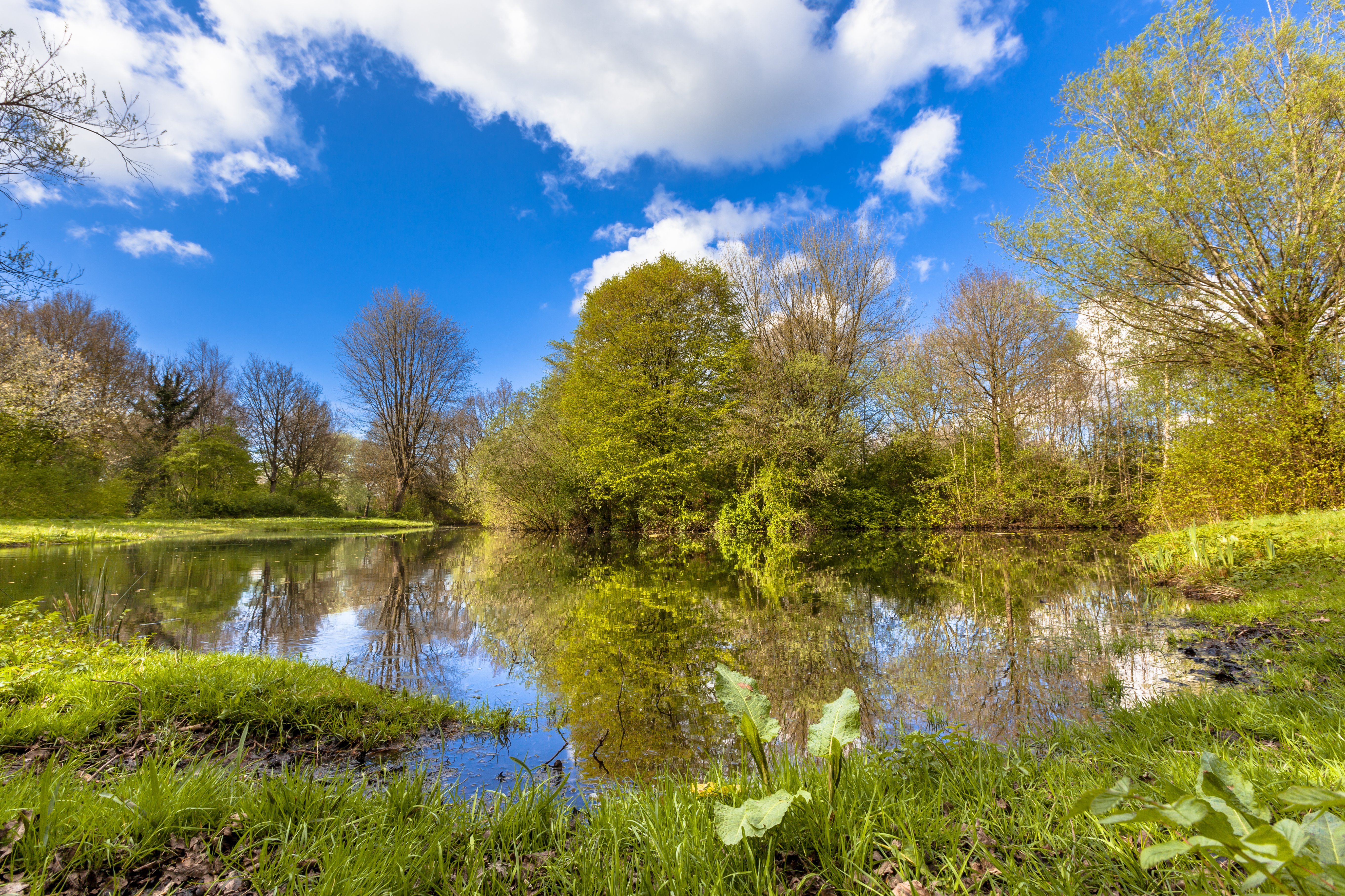 springtime-in-ecological-park-2021-08-26-16-38-02-utc